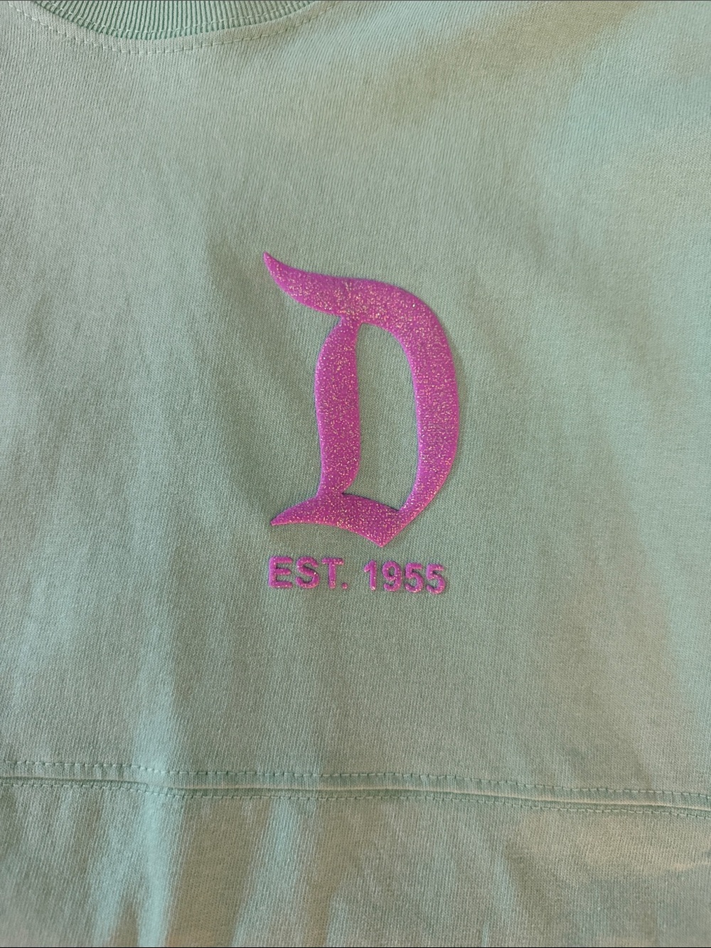 Disney Disneyland Blue and Purple Spirit Jersey for Adults size small - Picture 8 of 12